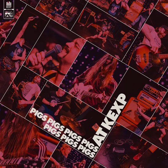 RSD 2024 - Live at Kexp - Pigs Pigs Pigs Pigs Pigs Pigs Pigs - Music - MISSING PIECE GROUP - 0854474003391 - April 20, 2024