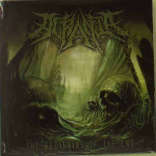 Beginning of the End - Acrania - Música - UNIQUE LEADER - 0856066006391 - 13 de enero de 2017