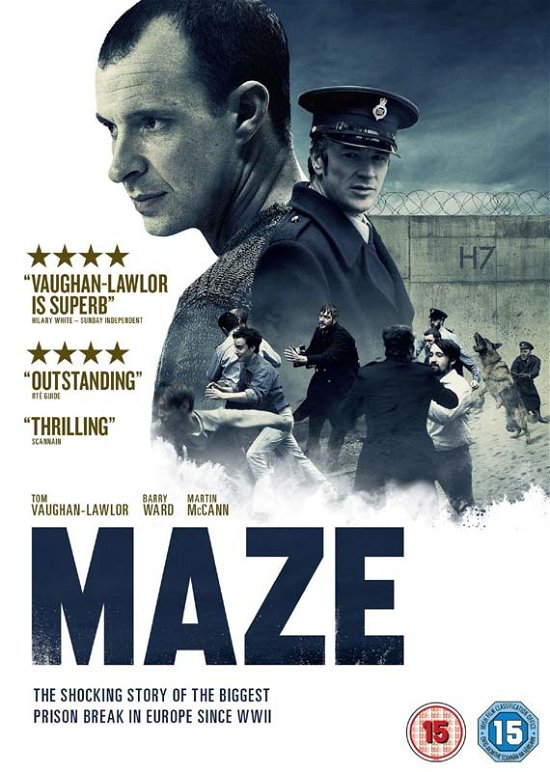 Cover for Maze (DVD) (2018)