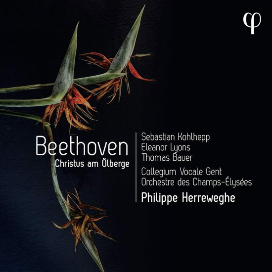 Beethoven: Christus Am Olberge - Collegium Vocale Gent / Philippe Herreweghe - Musik - PHI - 5400439000391 - 4 november 2022