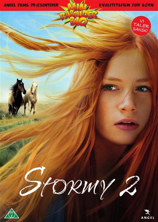 Cover for Stormy 2 (DVD) (2016)
