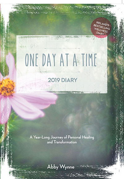 One Day at a Time Diary 2019: A Year Long Journey of Personal Healing and Transformation - one day at a time - Abby Wynne - Livres - Gill - 9780717181391 - 17 août 2018