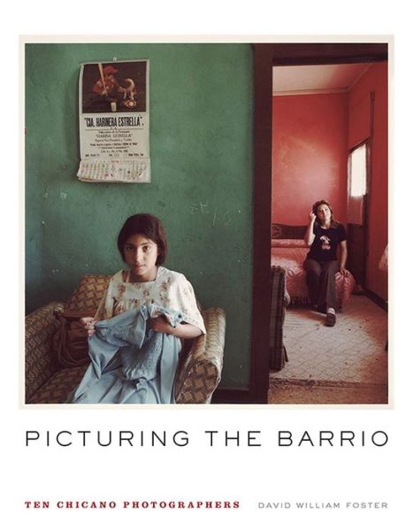 Cover for David William Foster · Picturing the Barrio: Ten Chicano Photographers - Latinx and Latin American Profiles (Paperback Book) (2017)