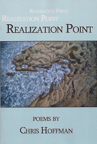 Cover for Chris Hoffman · Realization Point (Pocketbok) (2011)