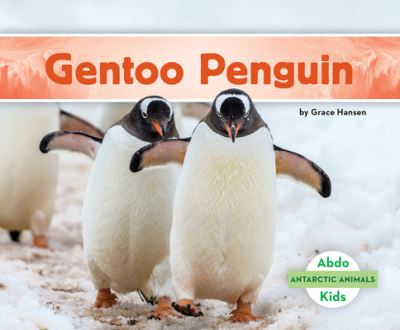 Gentoo Penguin - Grace Hansen - Livros - Abdo Kids Jumbo - 9781098209391 - 15 de dezembro de 2021