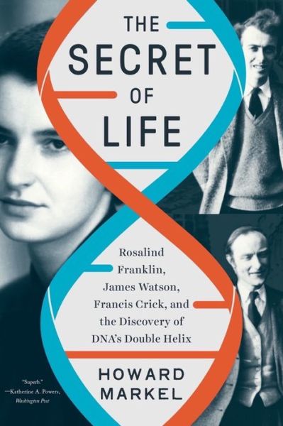 Cover for Markel, Howard (University of Michigan) · The Secret of Life: Rosalind Franklin, James Watson, Francis Crick, and the Discovery of DNA's Double Helix (Taschenbuch) (2023)