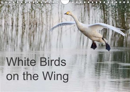White Birds on the Wing (Wall Cal - Crabb - Livros -  - 9781325545391 - 