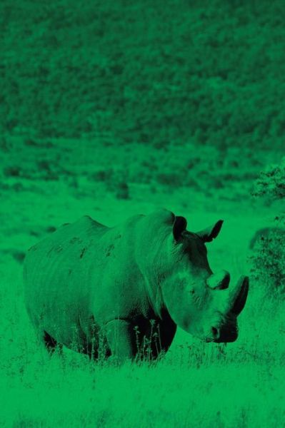 Cover for Eva-Lotta Jansson · Alive! white rhino - Green duotone - Photo Art Notebooks (6 x 9 series) (Paperback Book) (2015)