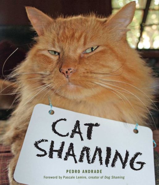 Cover for Pedro Andrade · Cat Shaming (Paperback Book) (2016)