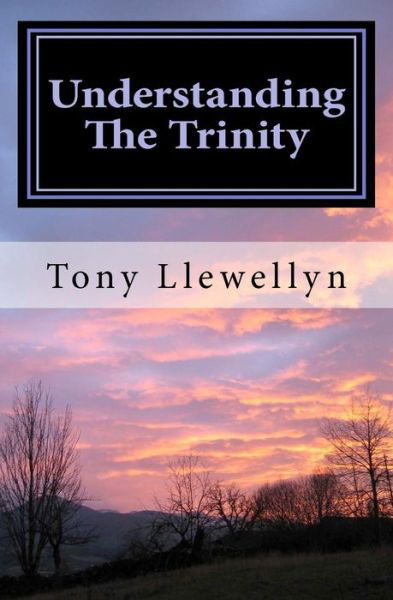 Cover for Tony Llewellyn · Understanding the Trinity (Paperback Book) (2011)