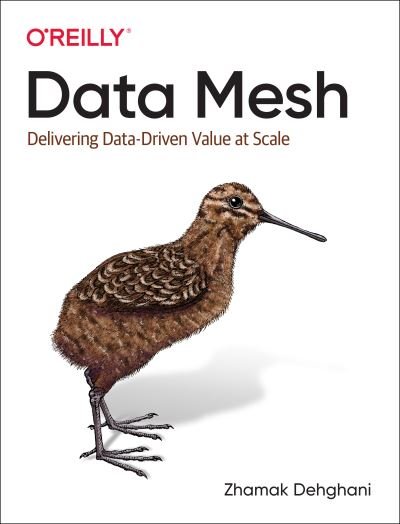 Cover for Zhamak Dehghani · Data Mesh: Delivering Data-Driven Value at Scale (Pocketbok) (2022)