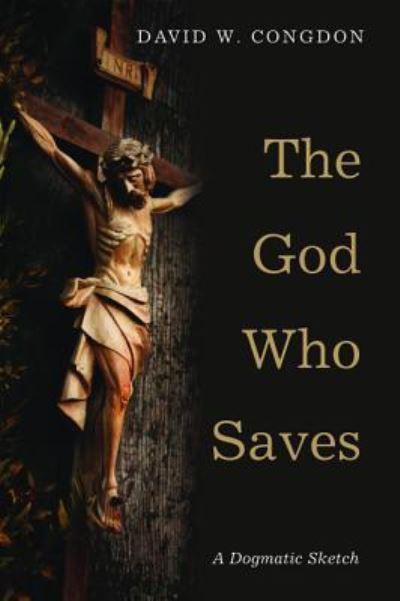 Cover for David W Congdon · The God Who Saves (Hardcover Book) (2016)