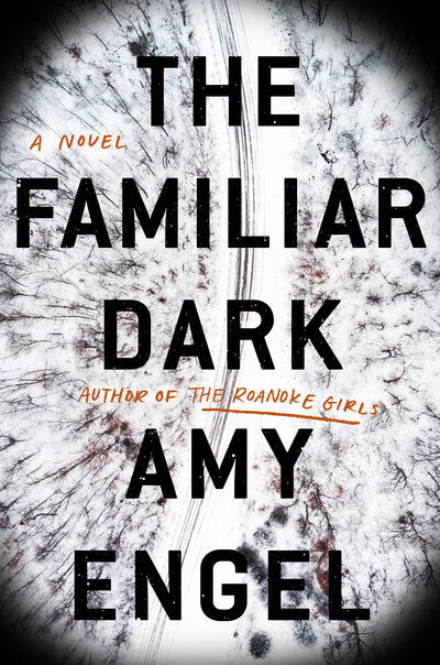 Cover for Amy Engel · The Familiar Dark: A Novel (Paperback Book) (2020)