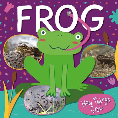 Cover for William Anthony · Frog (Book) (2022)