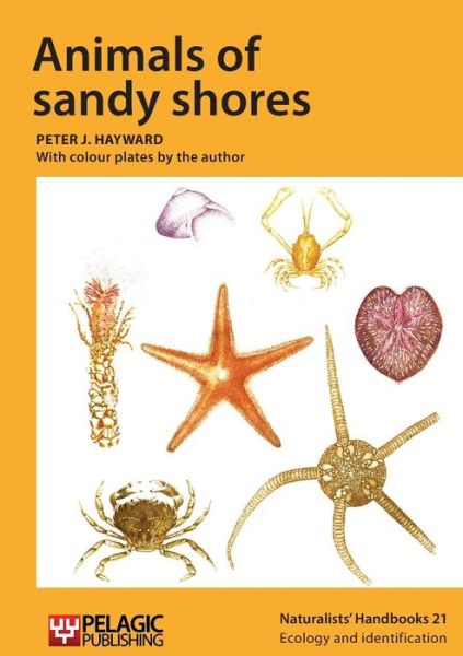 Cover for Peter J. Hayward · Animals of sandy shores - Naturalists' Handbooks (Paperback Book) (2015)