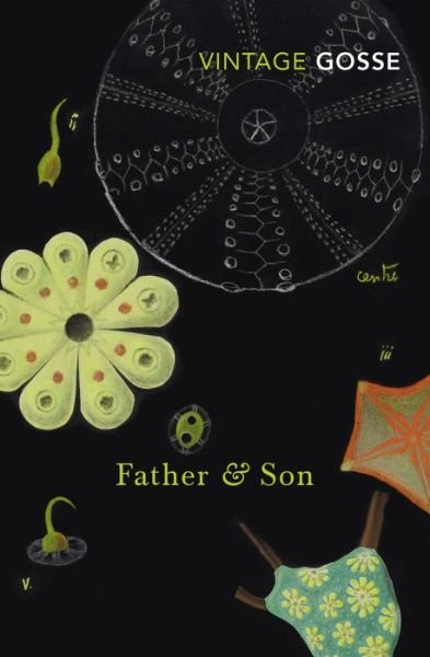 Cover for Edmund Gosse · Father and Son (Paperback Book) (2018)