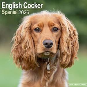 Cover for English Cocker Spaniel Calendar 2026  Square Dog Breed Wall Calendar - 16 Month (Calendar) (2025)