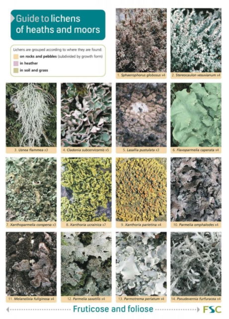 Guide to Lichens of Heaths and Moors - Frank Dobson - Books - Field Studies Council - 9781851532391 - June 6, 2007
