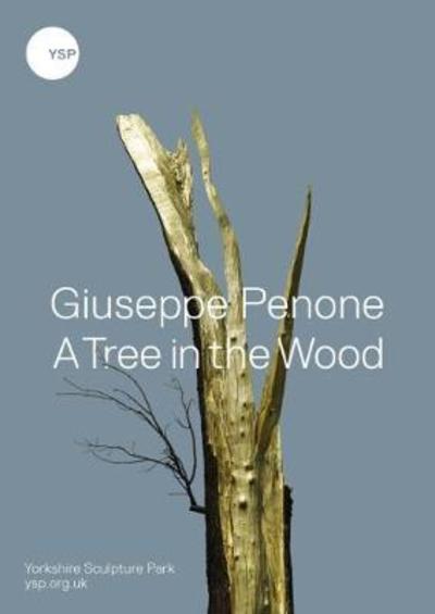 Cover for Martin Gayford · Giuseppe Penone: A Tree in the Wood (Inbunden Bok) (2018)