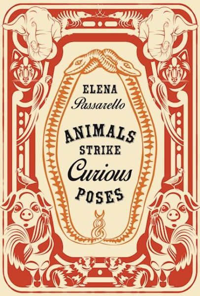 Cover for Elena Passarello · Animals Strike Curious Poses (Hardcover Book) (2017)