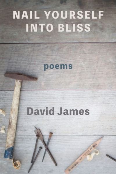 Cover for David James · Nail Yourself Into Bliss (Paperback Bog) (2019)