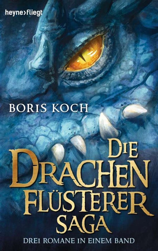 Cover for Boris Koch · Heyne.53439 Koch.Die Drachenflüsterer-S (Book)
