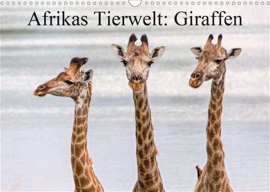 Cover for Voß · Afrikas Tierwelt: Giraffen (Wandkal (Book)