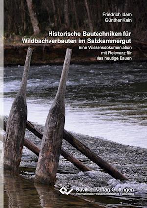 Cover for Friedrich Idam · Historische Bautechniken für Wildbachverbauten im Salzkammergut (Paperback Book) (2020)