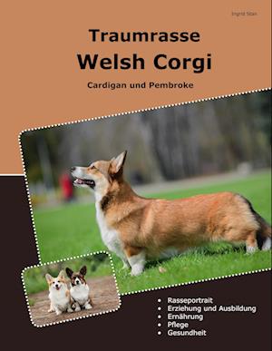 Cover for Ingrid Stan · Traumrasse Welsh Corgi (Book) (2024)