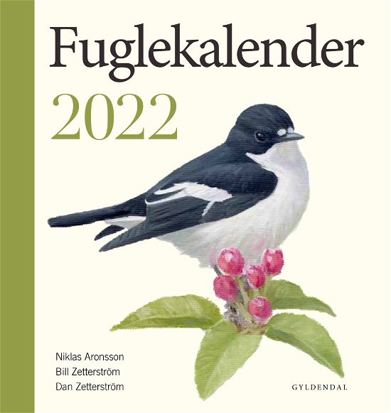 Fuglekalender 2022 - Niklas Aronsson; Bill Zetterström; Dan Zetterström - Kirjat - Gyldendal - 9788702316391 - maanantai 6. syyskuuta 2021