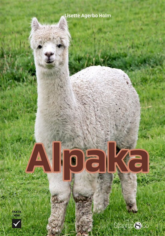 Mini: Alpaka - Lisette Agerbo Holm - Boeken - Straarup & Co - 9788775925391 - 4 augustus 2023