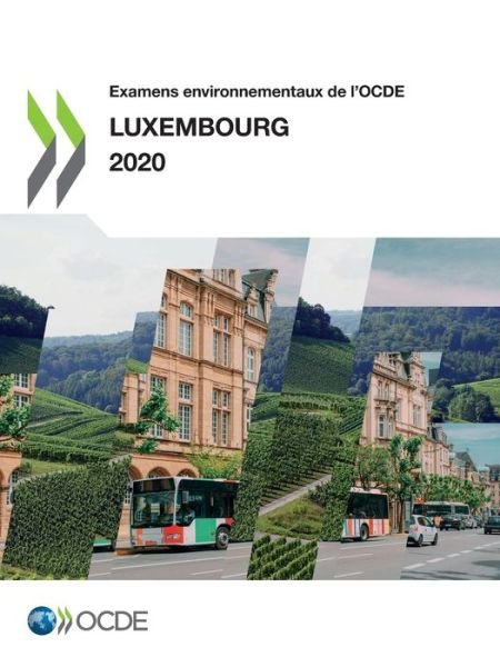 Cover for Oecd · Examens Environnementaux de l'Ocde: Luxembourg 2020 (Pocketbok) (2021)