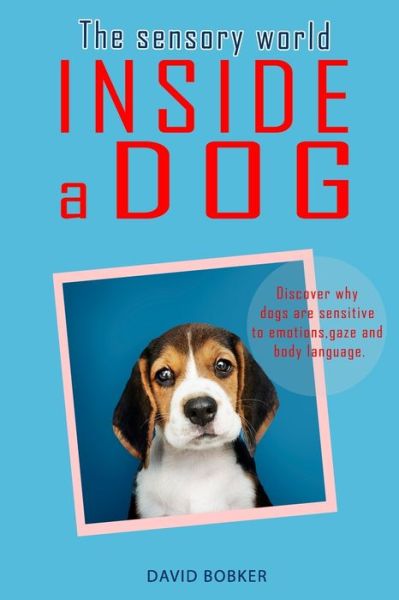 Cover for David Bobker · The Sensory World Inside a Dog (Paperback Book) (2020)