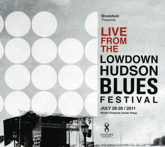 Cover for Live from the Lowdown Hudson Blues Festival / Var (CD) (2013)