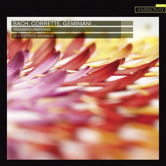 Cover for Bach / Corrette / Geminiani · Transfigurations (CD) (2013)
