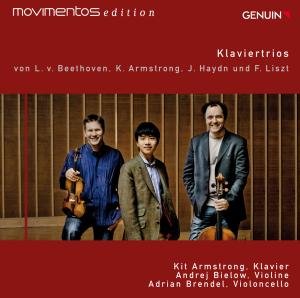 Klaviertrios - Beethoven / Armstrong / Haydn / Liszt / Brendel - Musique - GEN - 4260036252392 - 29 mai 2012