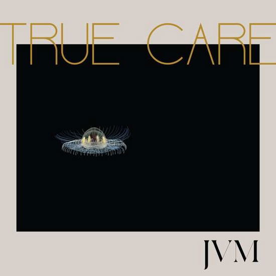 True Care - James Vincent Mcmorrow - Musikk - ALLPOINTS - 5052442011392 - 28. juli 2017