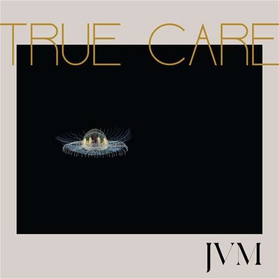 Cover for James Vincent Mcmorrow · True Care (CD) [Digipak] (2017)