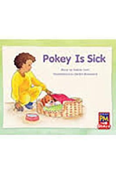 Pokey Is Sick - Rigby - Livros - RIGBY - 9780547990392 - 23 de agosto de 2012