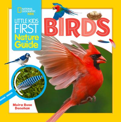 Cover for Moira Rose Donohue · Little Kids First Nature Guide Birds - Little Kids First Nature Guide (Pocketbok) (2024)