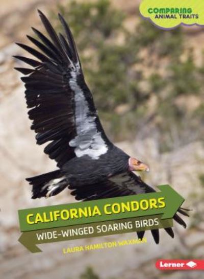 Cover for Laura Hamilton Waxman · California Condors Wide-Winged Soaring Birds (Paperback Book) (2016)