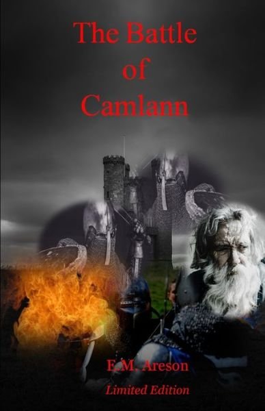 Cover for E M Areson · The Battle of Camlann: Darkly: Beginnings (Paperback Book) (2020)