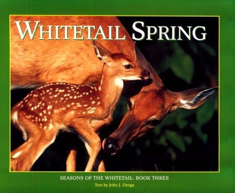 Cover for John J. Ozoga · Whitetail Spring: Seasons of the Whitetail (Seasons of the Whitetail / John J. Ozoga, Bk 3) (Hardcover bog) [First edition] (1996)