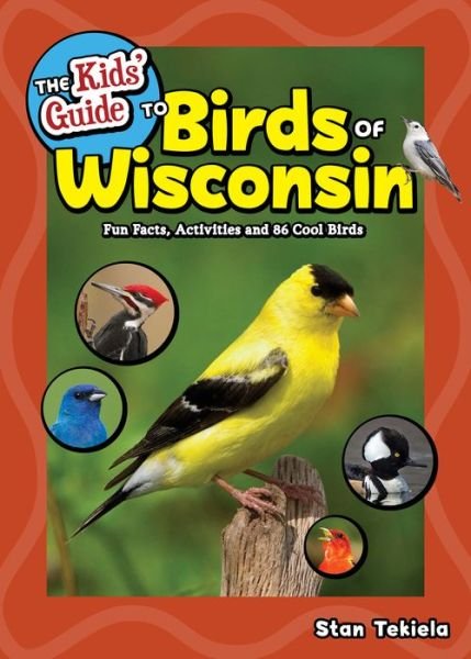 Cover for Stan Tekiela · The Kids' Guide to Birds of Wisconsin: Fun Facts, Activities and 86 Cool Birds - Birding Children's Books (Paperback Book) (2019)