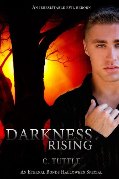 Cover for C Tuttle · Darkness Rising (Paperback Book) (2018)