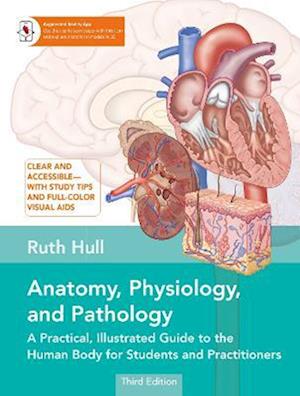 Cover for Ruth Hull · Anatomy, Physiology, and Pathology: A Practical, Illustrated Guide to the Human Body for Students and Practitioners (Paperback Book) (2023)