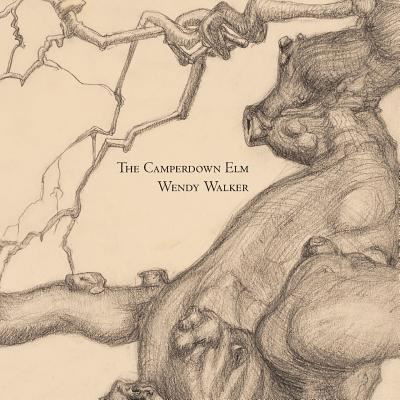 Cover for Wendy Walker · The Camperdown Elm (Paperback Book) (2017)