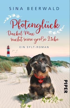 Cover for Sina Beerwald · Pfotenglück  Dackel Max sucht seine große Liebe (Book) (2023)