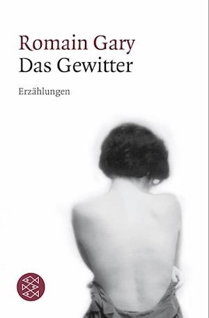 Cover for Romain Gary · Das Gewitter (Paperback Book) (2011)