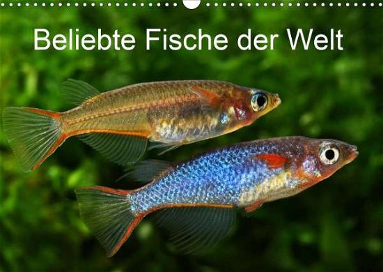 Beliebte Fische der Welt (Wand - Pohlmann - Böcker -  - 9783671887392 - 